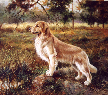 _dogs126.jpg (114924 bytes)