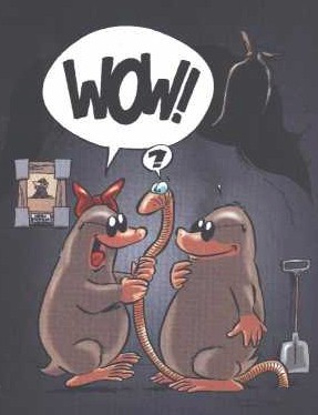 _sc002.jpg (27541 bytes)