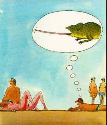 _sc008.jpg (37173 bytes)