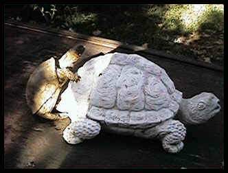 _sc010.jpg (14996 bytes)