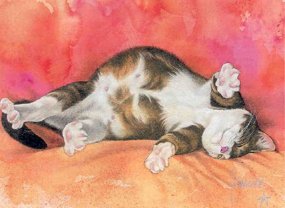 _cats159.jpg (82122 bytes)