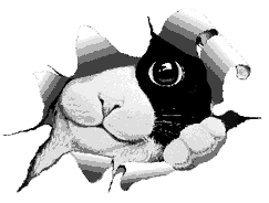 _cats184.gif (5475 bytes)