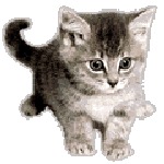 _cats187.gif (29542 bytes)