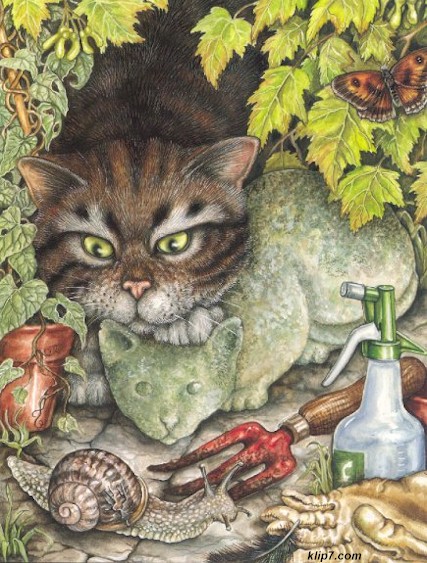 _cats190.jpg (108089 bytes)