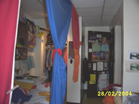"The Nest"