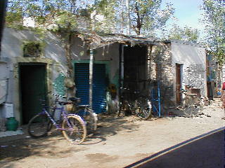 bikes and shade
