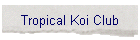 Tropical Koi Club