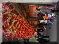 PICT1195.JPG