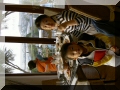 PICT1345.JPG