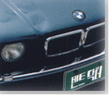 dent_ani.gif (192040 bytes)