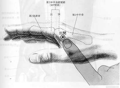  ���� �׸�(1/2)