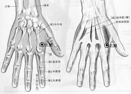  ���� �׸�(2/2)