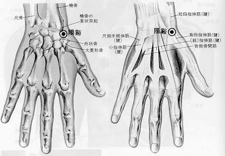  ���� �׸�(1/2)