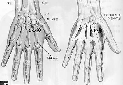  ���� �׸�(2/2)