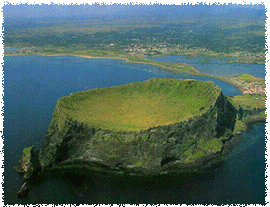 ���ֵ� ������