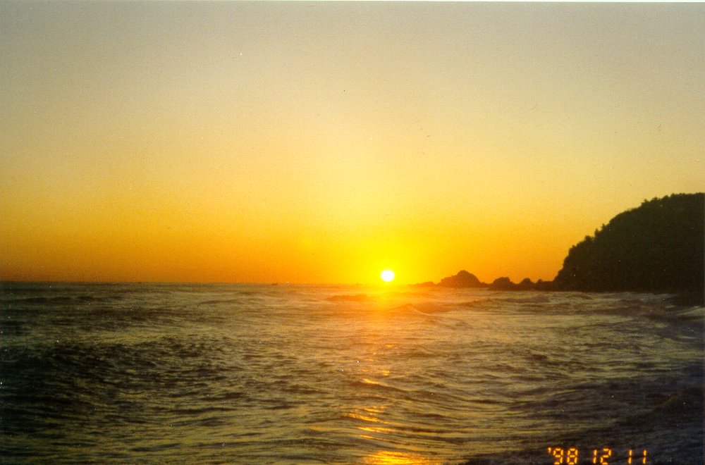 ������ ����