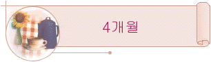 4����
