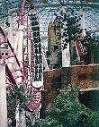 Circus Circus Hotel and Casino