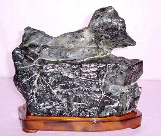 STA40151.JPG