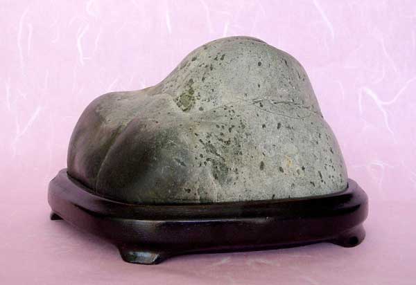STA40249.JPG