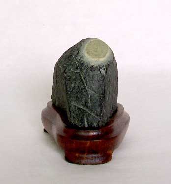 STA40325.JPG