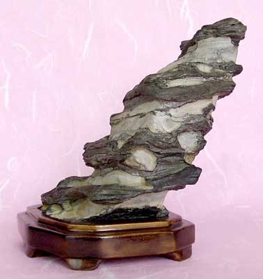 STA40376.JPG
