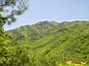 DSC04268.JPG
