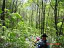DSC04343.JPG
