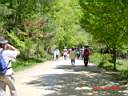 DSC04363.JPG