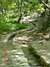 DSC04415.JPG