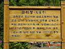 DSC04420.JPG