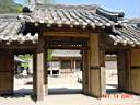 DSC04437.JPG