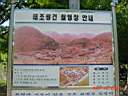 DSC04454.JPG