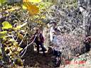 DSC08850.JPG