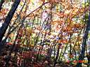 DSC08852.JPG