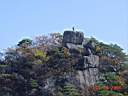 DSC08864.JPG
