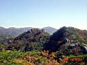 DSC08874.JPG