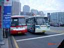 DSC09984.JPG