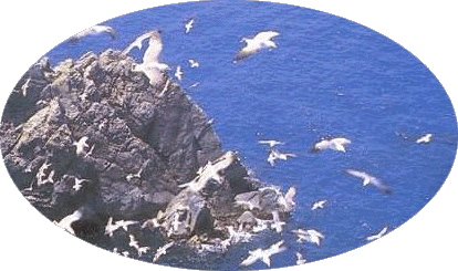 Á¶³ª´Ü ¸®ºù½ºÅÏ