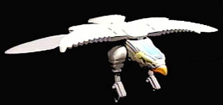 allyhawk.jpg