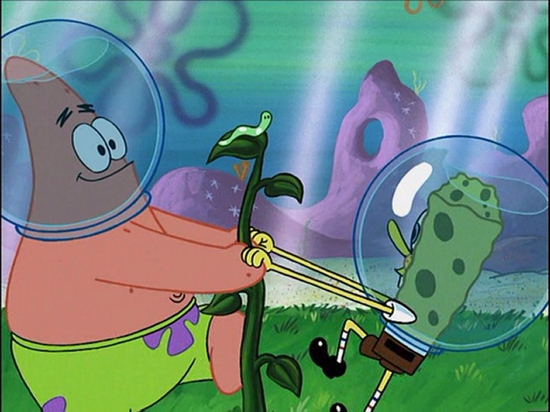 800600wormy.jpg