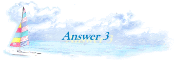 Answer 3