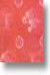 swatch1.jpg