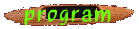program