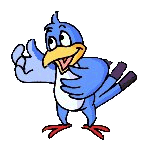 bird