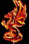 firedrgn.jpg (18947 bytes)
