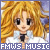 Full Moon wo Sagashite: Music Of Fanlisting // Love Chronicle