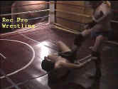 Digger kicks Ringmaster while he's down.