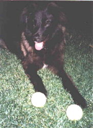 zoe1.jpg - 14.2 K