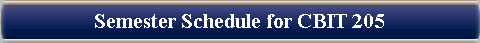 Semester Schedule for CBIT 205
